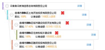 云南南云教育信息咨詢有限責(zé)任公司 專業(yè)引領(lǐng)，助力教育夢想啟航